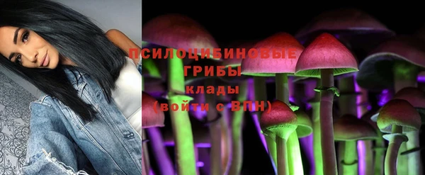 ГАЛЛЮЦИНОГЕННЫЕ ГРИБЫ Абаза