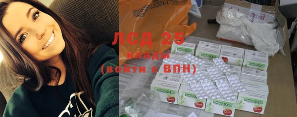 ГАЛЛЮЦИНОГЕННЫЕ ГРИБЫ Абаза