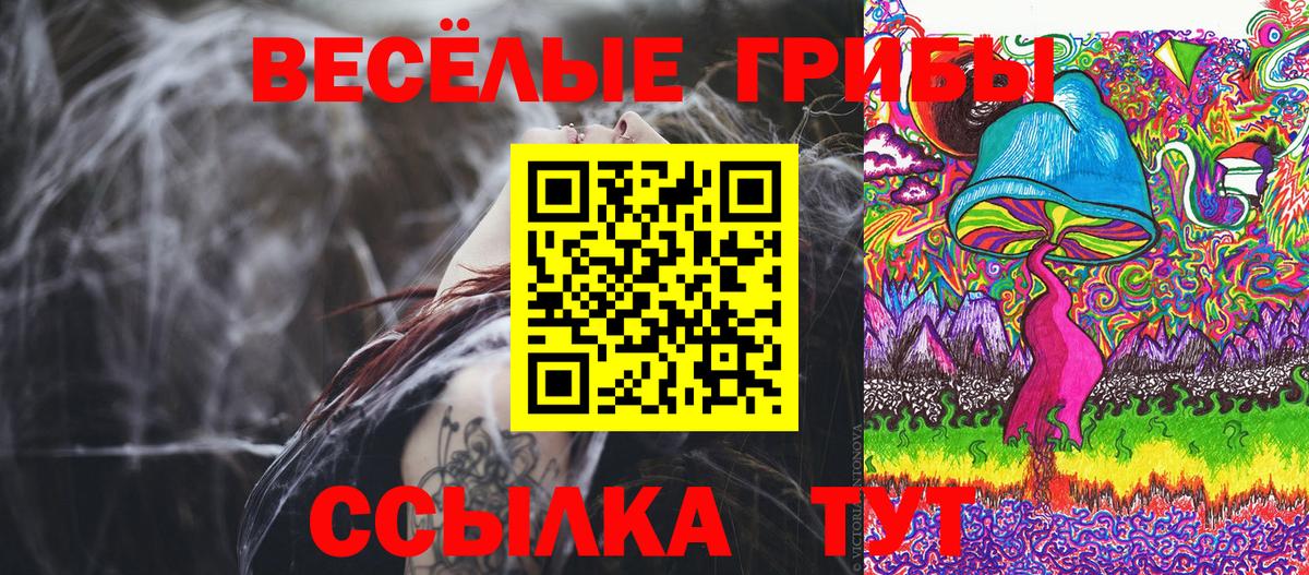 Псилоцибиновые грибы Psilocybine cubensis  Вход с VPN  Грозный 